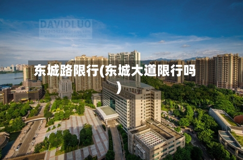 东城路限行(东城大道限行吗)