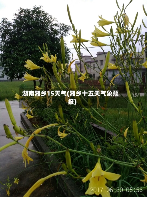 湖南湘乡15天气(湘乡十五天气象预报)