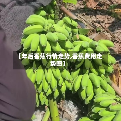 【年后香蕉行情走势,香蕉费用走势图】