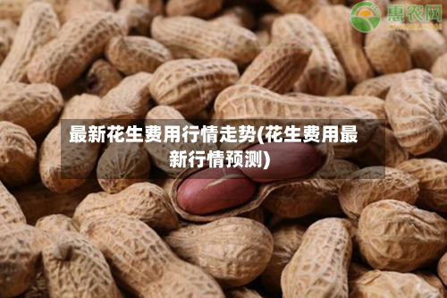 最新花生费用行情走势(花生费用最新行情预测)
