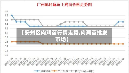 【安州区肉鸡苗行情走势,肉鸡苗批发市场】