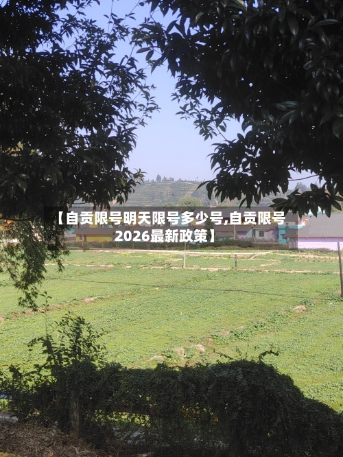 【自贡限号明天限号多少号,自贡限号2026最新政策】