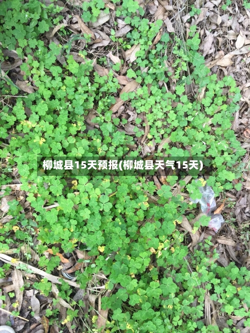 柳城县15天预报(柳城县天气15天)