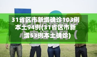 31省区市新增确诊103例本土94例(31省区市新增53例本土确诊)