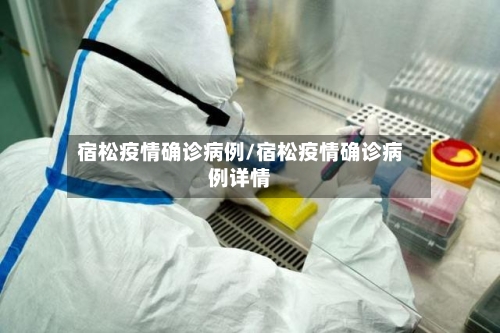 宿松疫情确诊病例/宿松疫情确诊病例详情