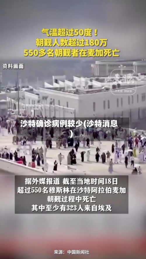 沙特确诊病例较少(沙特消息)