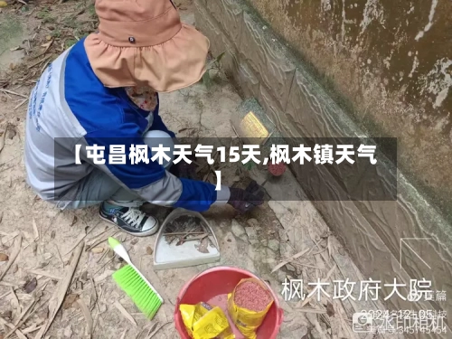 【屯昌枫木天气15天,枫木镇天气】