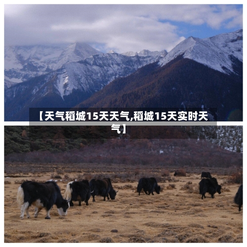 【天气稻城15天天气,稻城15天实时天气】