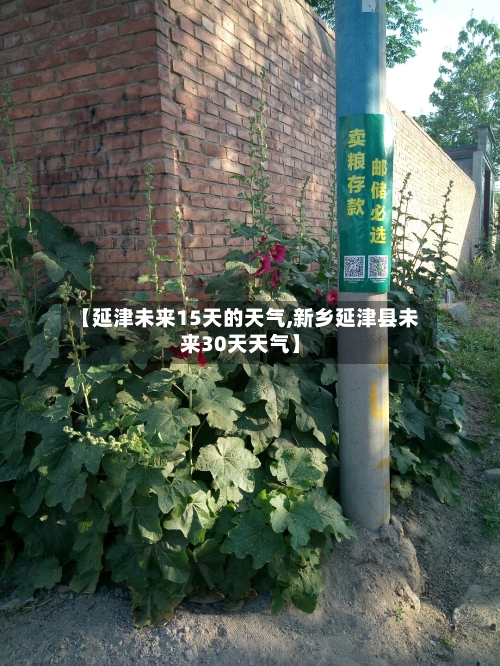 【延津未来15天的天气,新乡延津县未来30天天气】