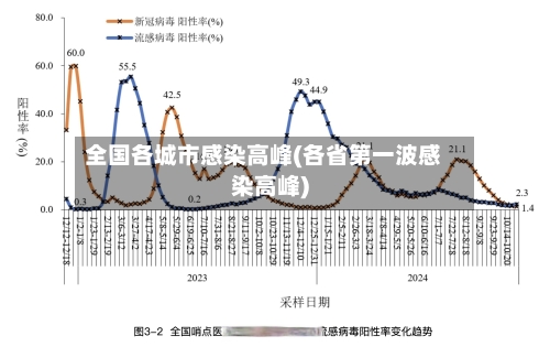 全国各城市感染高峰(各省第一波感染高峰)