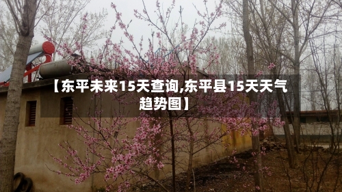 【东平未来15天查询,东平县15天天气趋势图】