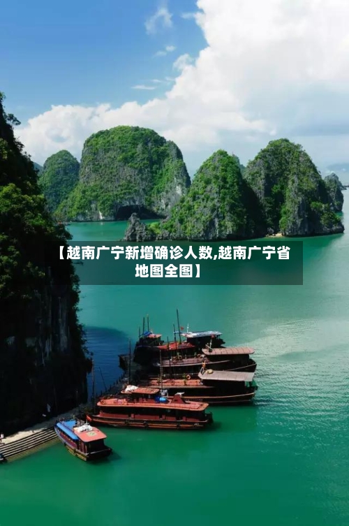 【越南广宁新增确诊人数,越南广宁省地图全图】