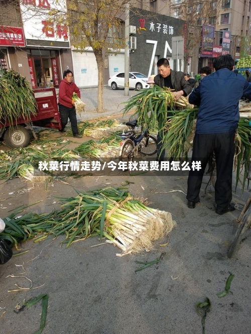 秋菜行情走势/今年秋菜费用怎么样