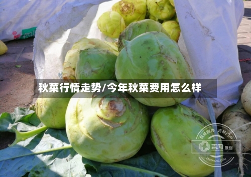 秋菜行情走势/今年秋菜费用怎么样