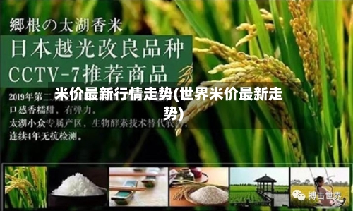 米价最新行情走势(世界米价最新走势)