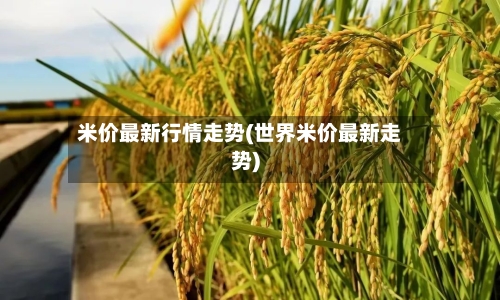 米价最新行情走势(世界米价最新走势)