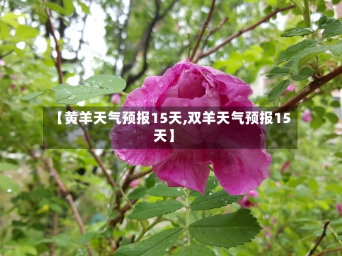 【黄羊天气预报15天,双羊天气预报15天】