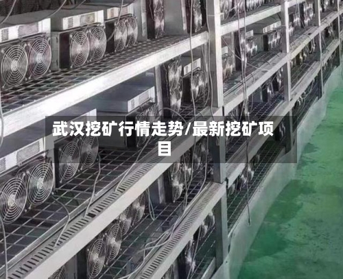 武汉挖矿行情走势/最新挖矿项目