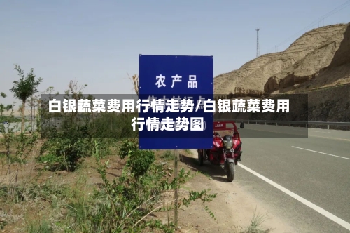 白银蔬菜费用行情走势/白银蔬菜费用行情走势图
