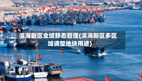 滨海新区全域静态管理(滨海新区多区域调整地块用途)