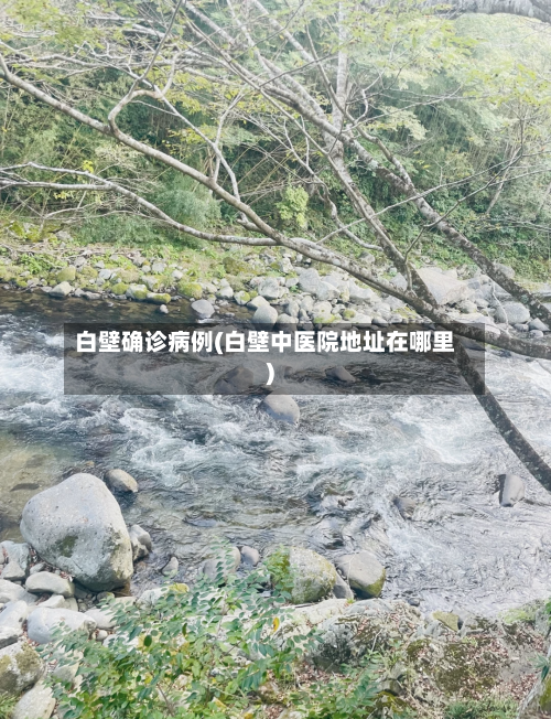白壁确诊病例(白壁中医院地址在哪里)
