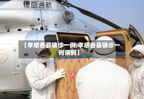 【孝感各县确诊一例,孝感各县确诊一例病例】