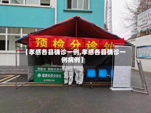 【孝感各县确诊一例,孝感各县确诊一例病例】