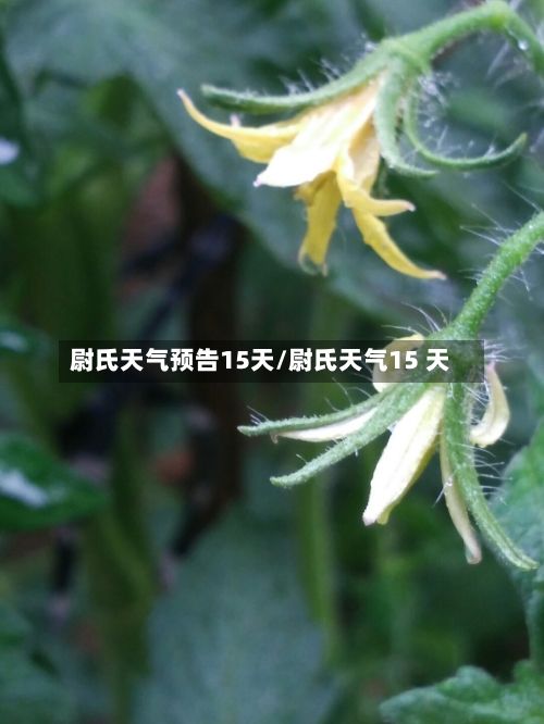 尉氏天气预告15天/尉氏天气15 天