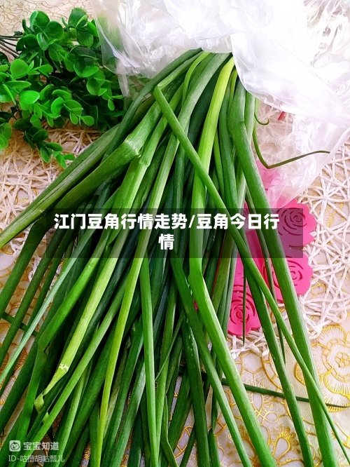 江门豆角行情走势/豆角今日行情