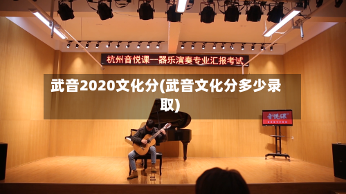 武音2020文化分(武音文化分多少录取)