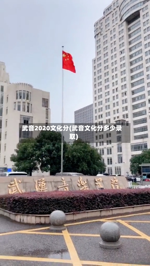 武音2020文化分(武音文化分多少录取)