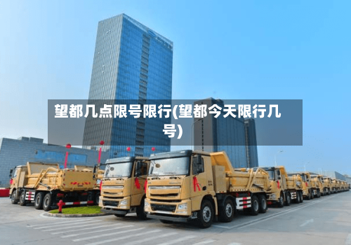 望都几点限号限行(望都今天限行几号)