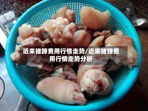 近来猪蹄费用行情走势/近来猪蹄费用行情走势分析
