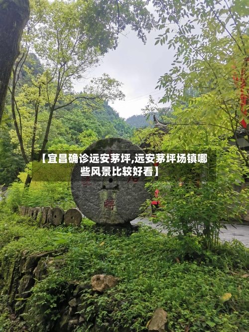 【宜昌确诊远安茅坪,远安茅坪场镇哪些风景比较好看】