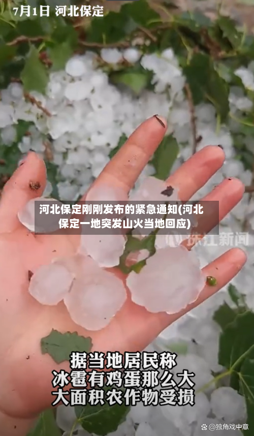 河北保定刚刚发布的紧急通知(河北保定一地突发山火当地回应)