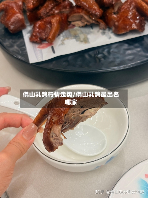 佛山乳鸽行情走势/佛山乳鸽最出名哪家