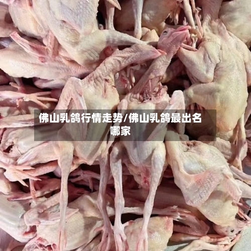 佛山乳鸽行情走势/佛山乳鸽最出名哪家
