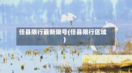 任县限行最新限号(任县限行区域)
