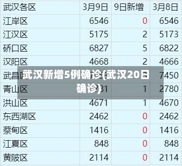 武汉新增5例确诊(武汉20日确诊)